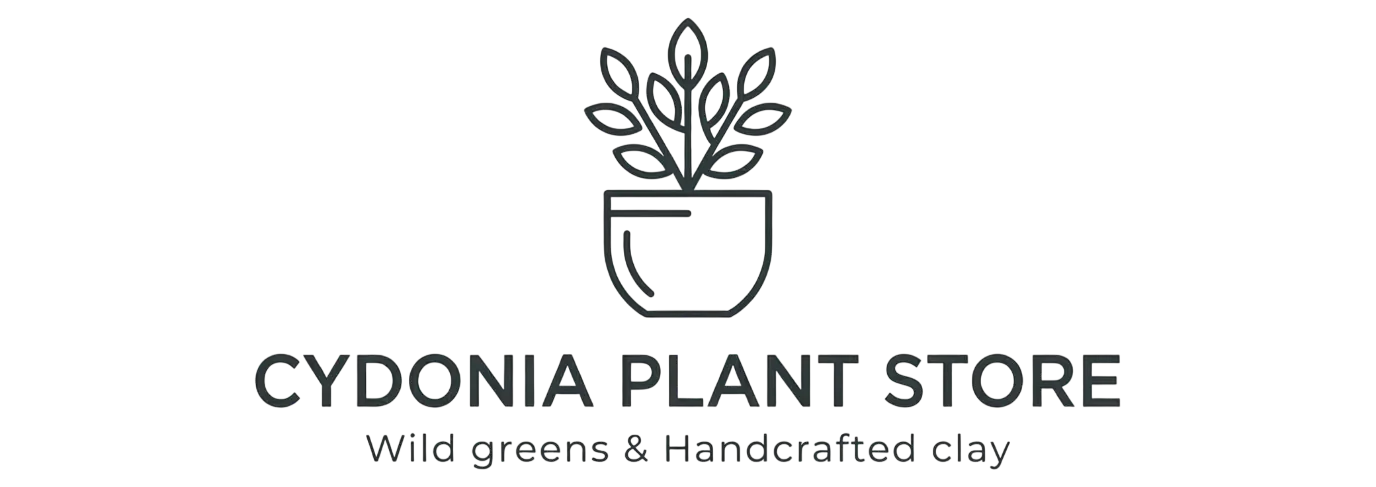 Cydonia Garden Store